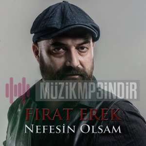 Fırat Erek -  album cover