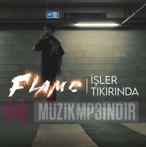 Flame -  album cover