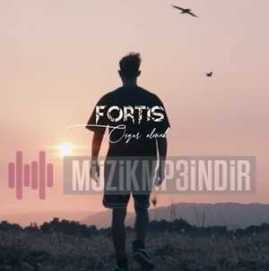 Fortis