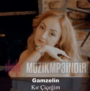 Gamzelin