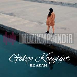 Gökçe Koçyiğit -  album cover