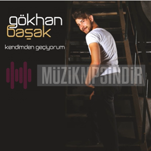 Gokhan Bashak