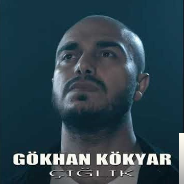 Gokhan Kokyar