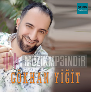 Gökhan Yiğit