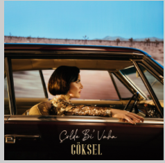 Göksel -  album cover