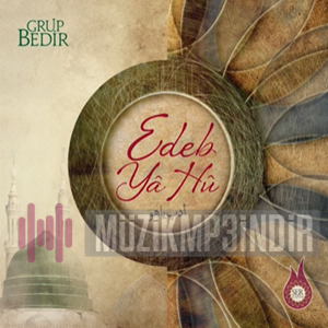 Grup Bedir -  album cover