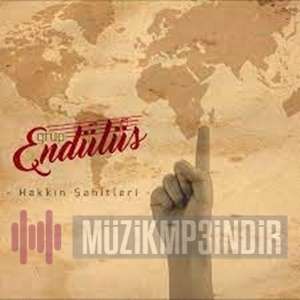 Grup Endülüs -  album cover