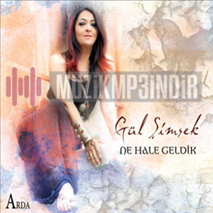 Gül Şimşek -  album cover
