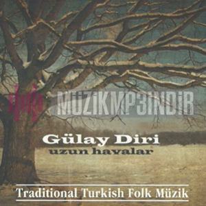 Gülay Diri -  album cover