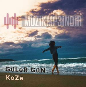 Guler Gun