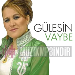 Gülesin -  album cover