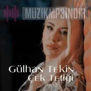 Gülhan Tekin -  album cover