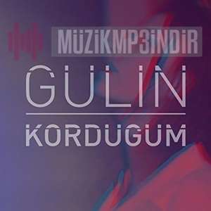 Gülin -  album cover