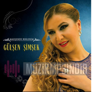 Gülşen Şimşek -  album cover