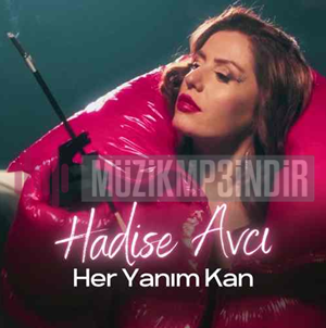 Hadise Avcı -  album cover