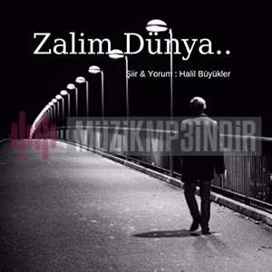 Halil Büyükler -  album cover
