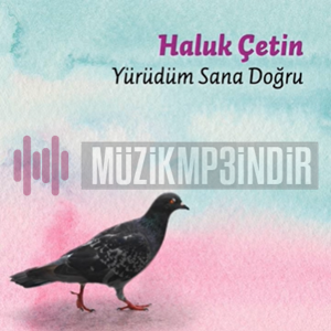 Haluk Çetin - Yürüdüm Sana Doğru (2018) Albüm