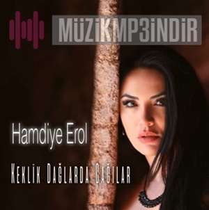 Hamdiye Erol -  album cover