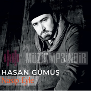 Hasan Gümüş -  album cover