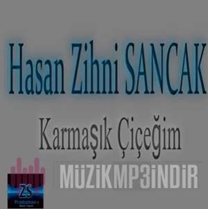 Hasan Zihni Sancak