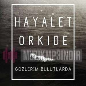 Hayalet Orkide