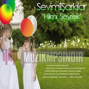 Hilmi Seyrek