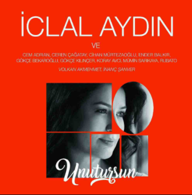 Iclal Aydin