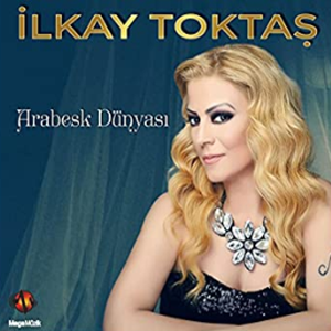 İlkay Toktaş