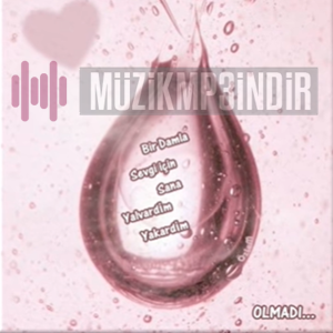 İzmirli Damla -  album cover