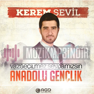 Kerem Sevil