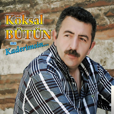 Koksal Butun