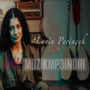 Lavin Perinçek -  album cover