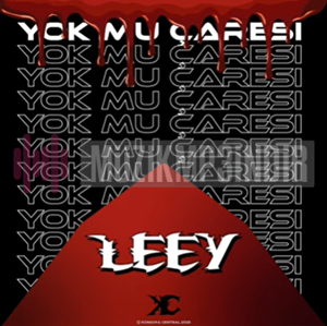 Leey -  album cover