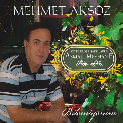 Mehmet Aksöz -  album cover