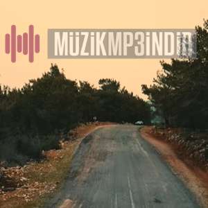 Mehmet Ali Perçin -  album cover