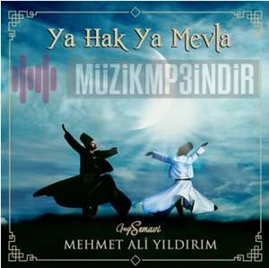 Mehmet Ali Yildirim