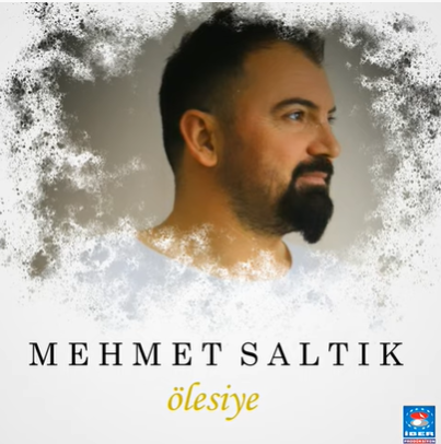 Mehmet Saltik