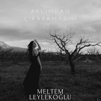 Meltem Leylekoğlu