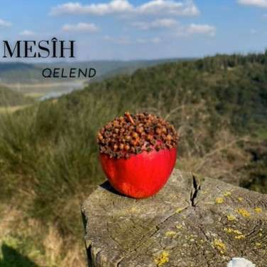 Mesih -  album cover