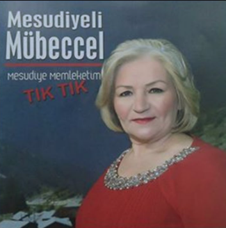 Месудийели Мубеccел