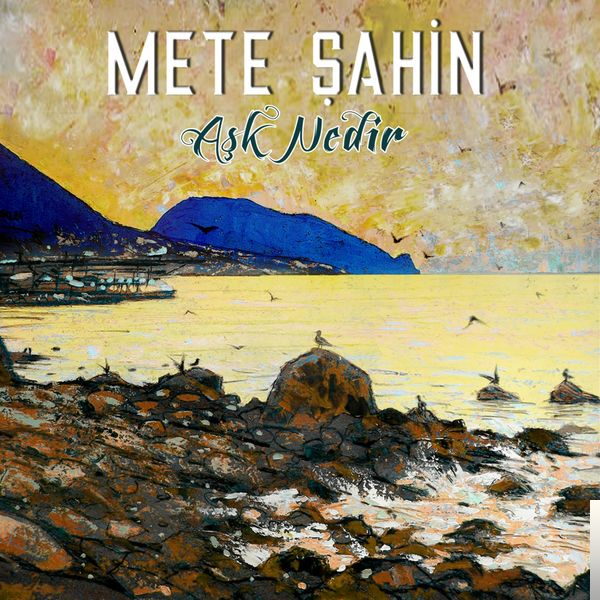 Mete Shahin