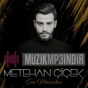 Metehan Chicek