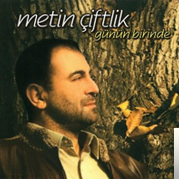 Metin Çiftlik