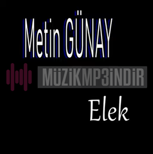 Metin Günay