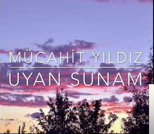 Mucahit Yildiz