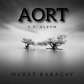 Murat Karacay