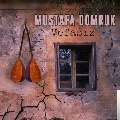 Mustafa Domruk