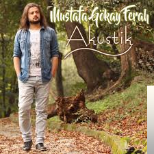 Mustafa Gokay Ferah