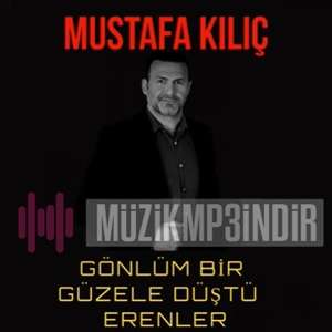 Mustafa Kilic