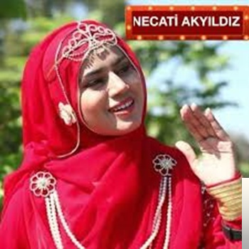 Necati Akyildiz